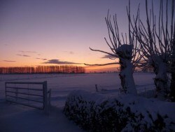 Winterbeeld van de polder richting het dorp Meeuwen, gezien vanaf onze boerderij.