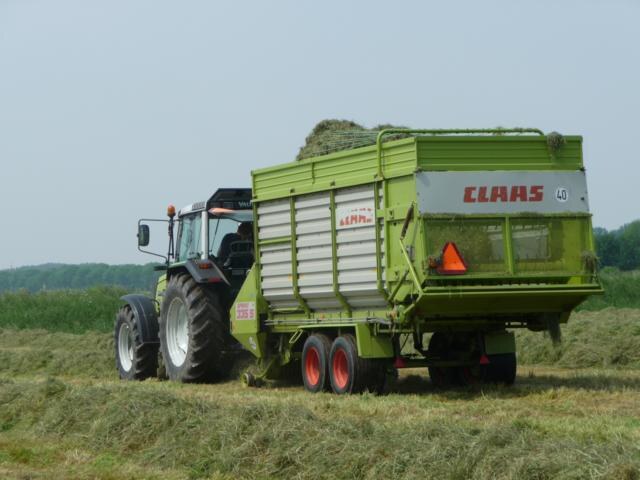 Melkveehouderij